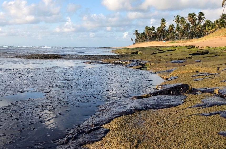 Praia do Forte Bahia toneladas de óleo na praia do Forte no litoral baiano-foto Instituto Bioma Brasil